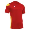 Colour: Red/Yellow