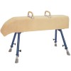 Option: Sloping Neck With Pommels