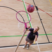 Harrod Socketed Pink Netball Posts (Pair) with 10mm Solid Rings or 16mm Tubular Regulation Rings